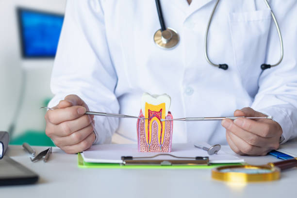 Best Emergency Broken Tooth Repair in Valle Vista, CA